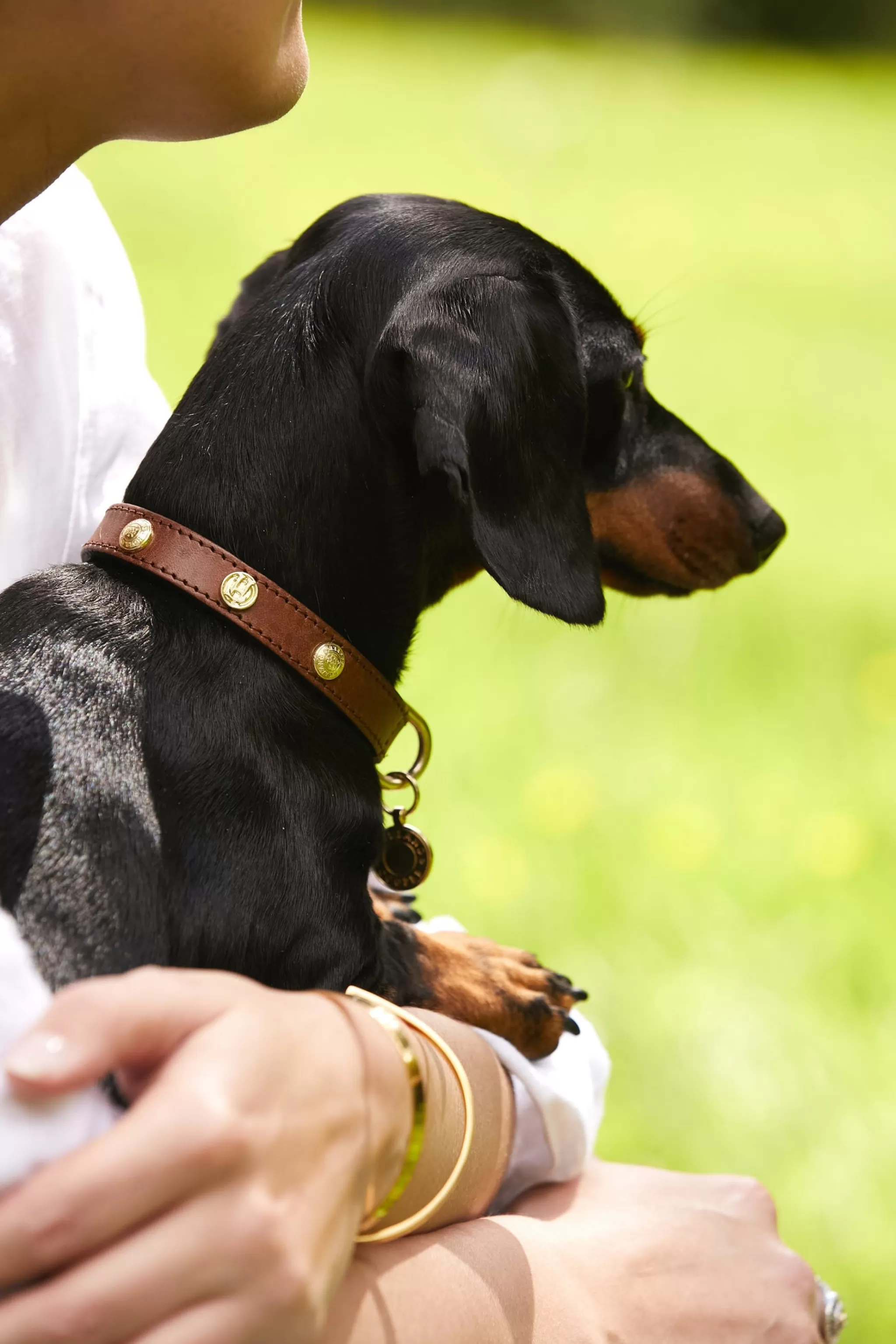 HC Studded Dog Collar>Holland Cooper Best